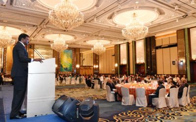 Singapore Silent Hero 2015 – Category details